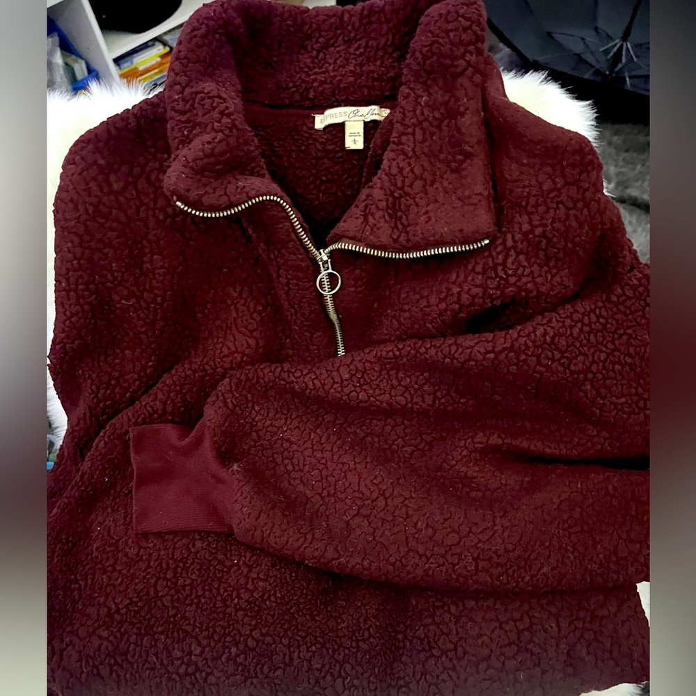 Express Teddy